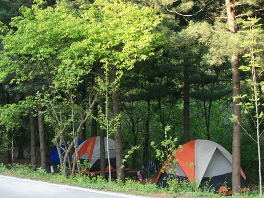 유명산자연휴양림