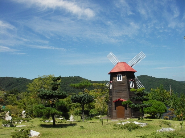 이안숲속