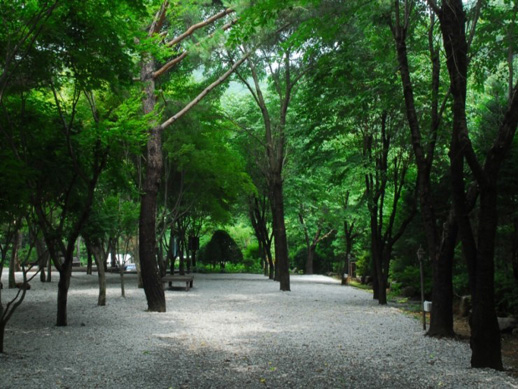 호명산두레캠핑장