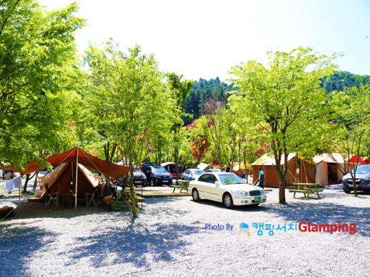 아침고요오토캠핑장