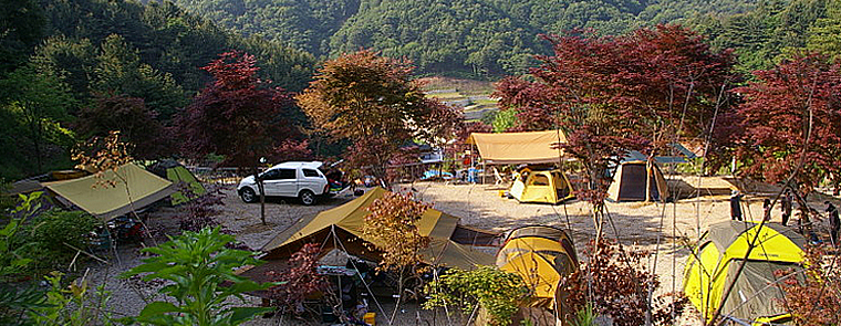 산야초자연캠핑장